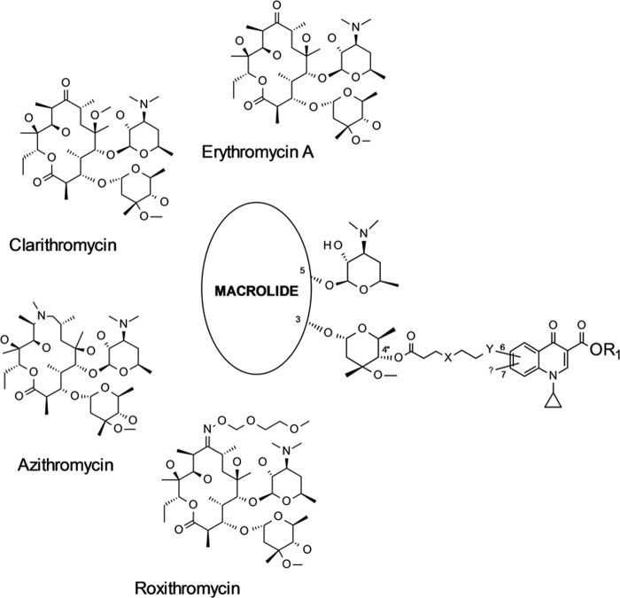 FIG 1