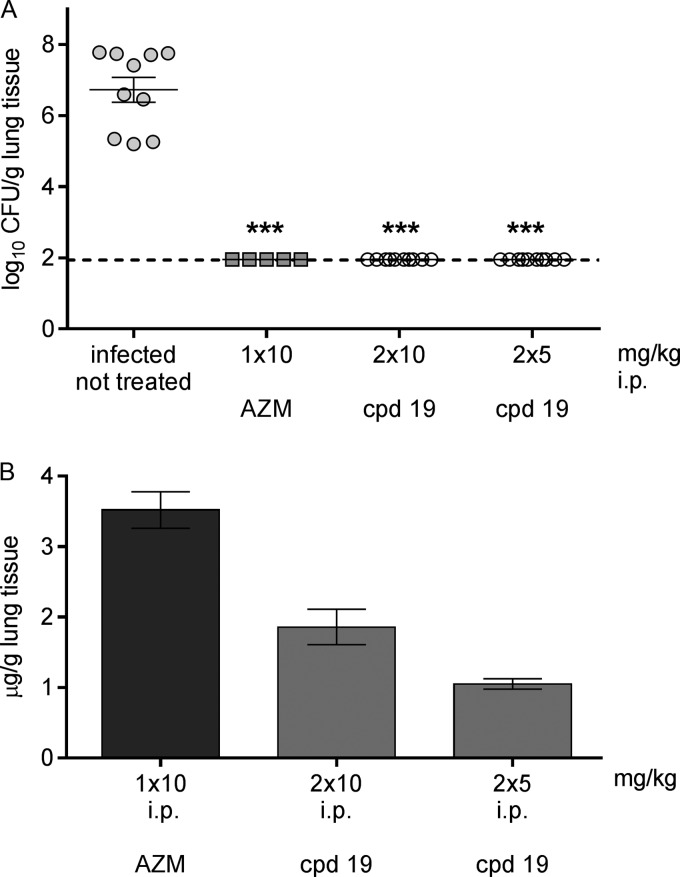 FIG 2