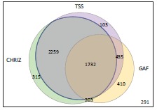 Fig. (5)