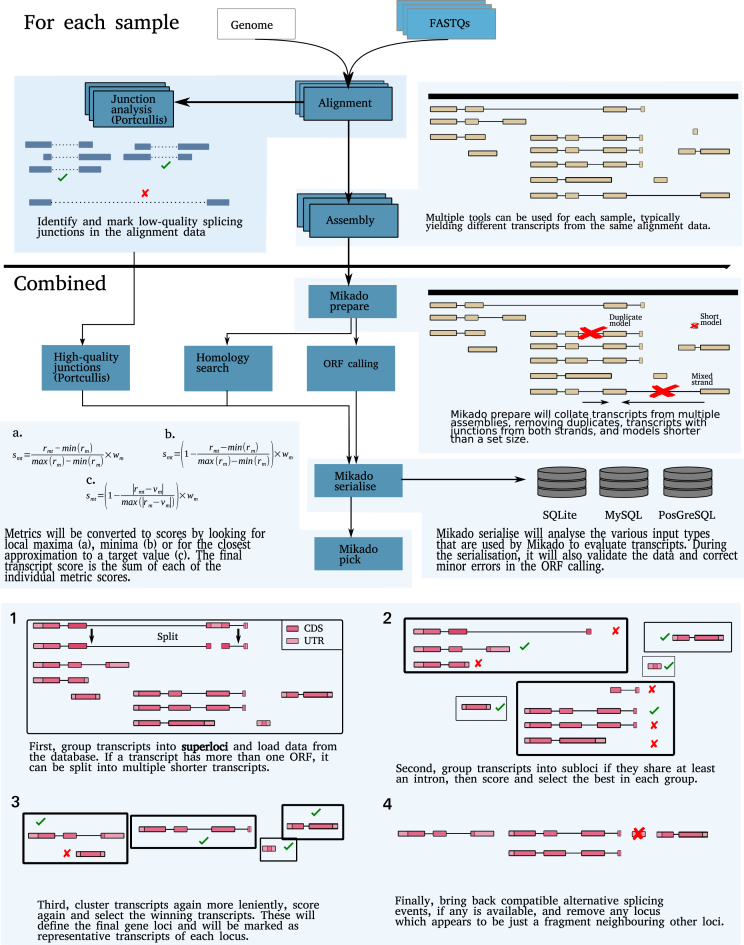 Figure 2: