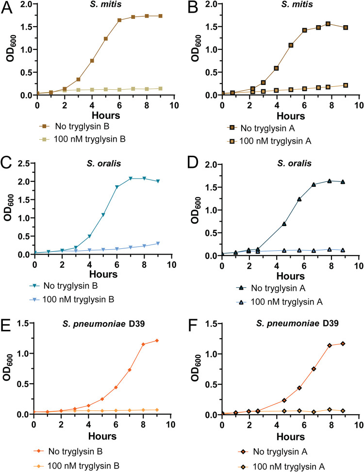 FIG 10