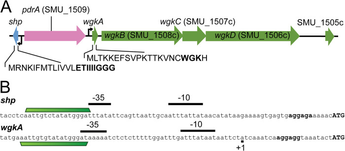 FIG 1