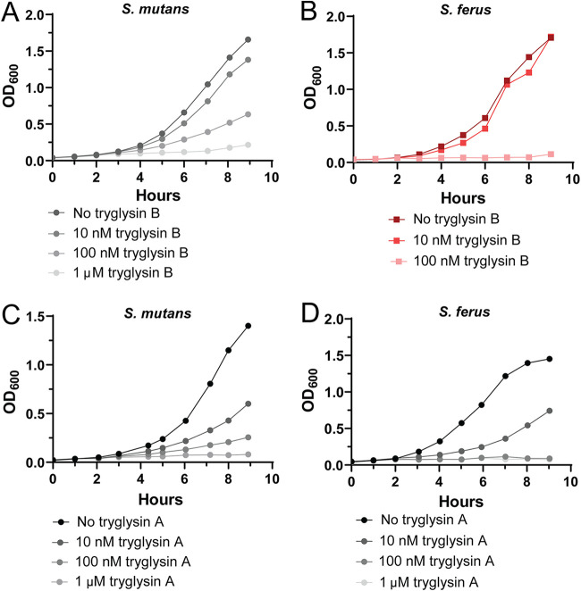 FIG 6