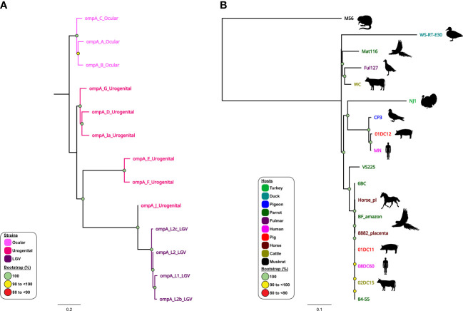 Figure 4