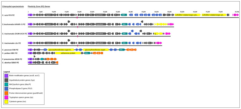 Figure 3