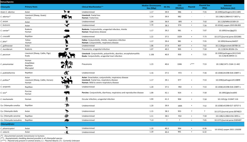 Figure 1