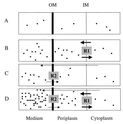 FIG. 1