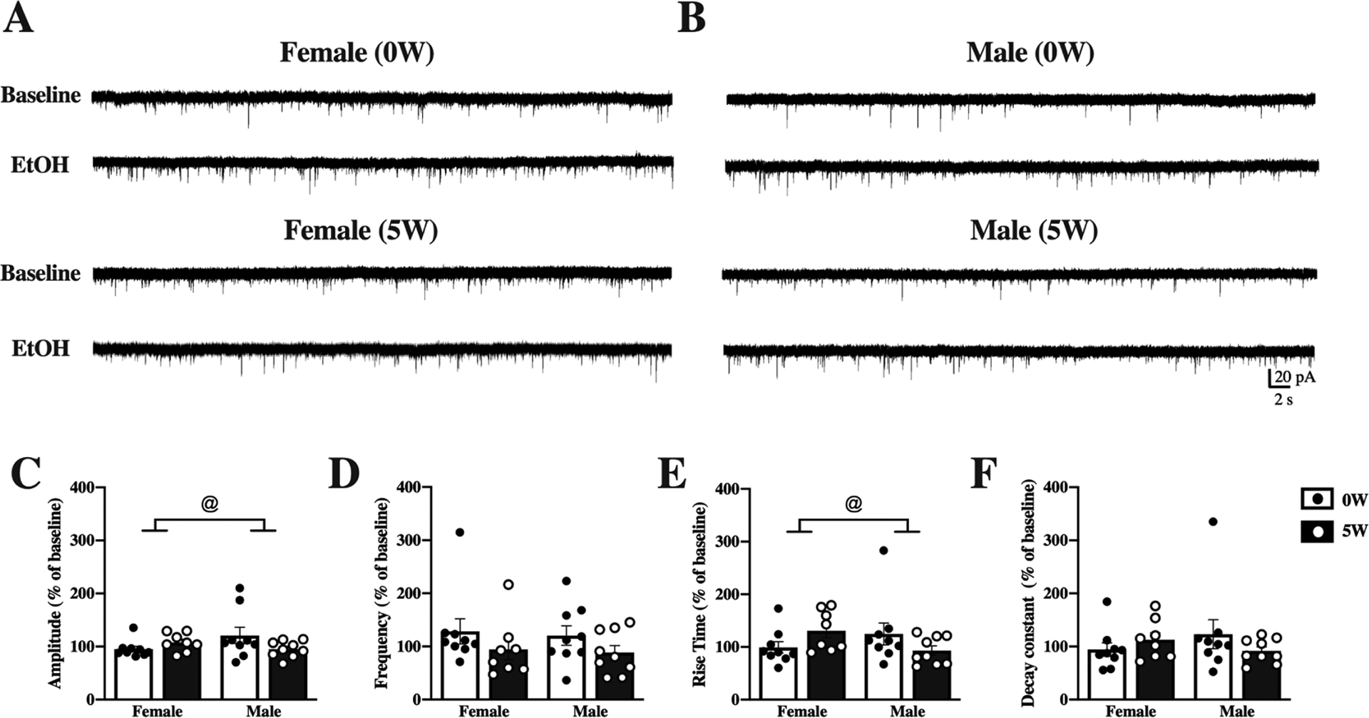 Figure 5.