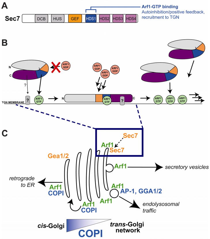 Figure 7