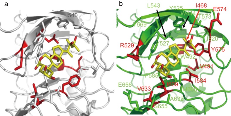 Fig 6