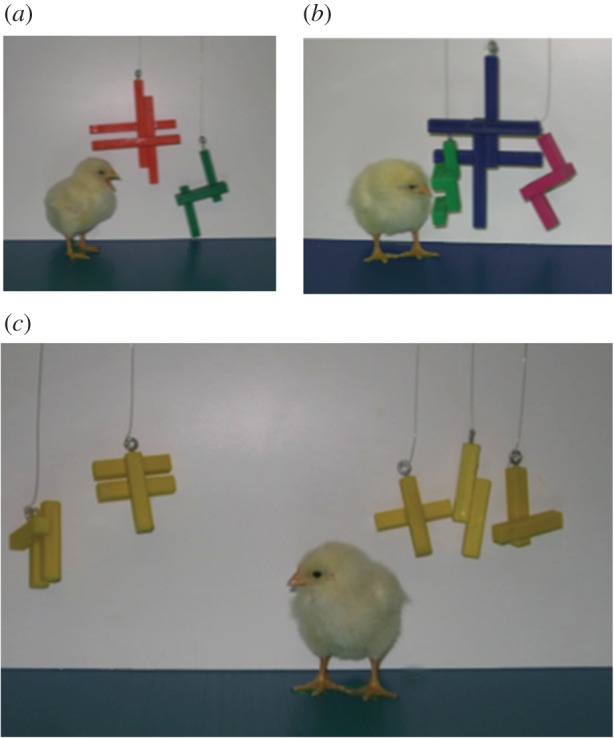 Figure 2.