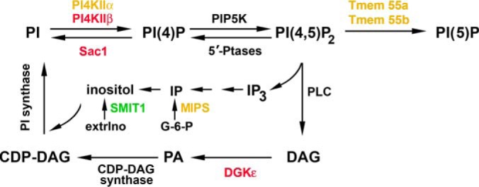 Fig. 9.