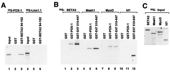 FIG. 6