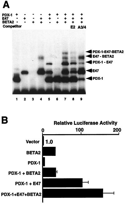 FIG. 7