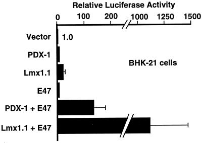 FIG. 1