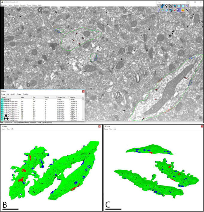 FIGURE 3