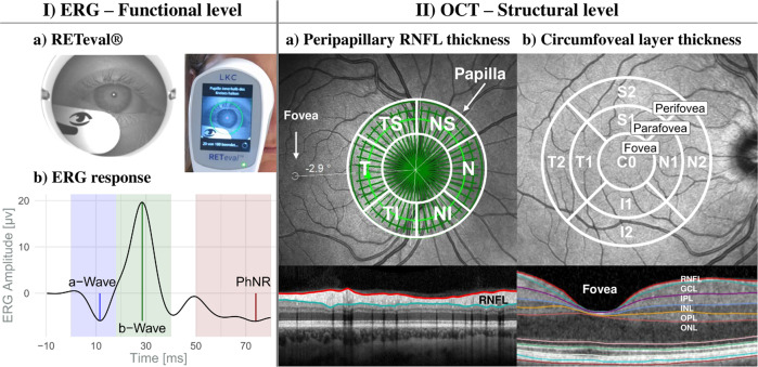 Fig. 1