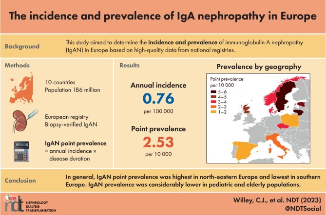 Graphical Abstract