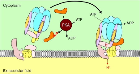 Fig. 3.