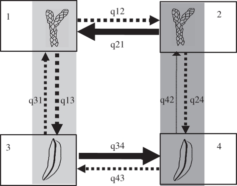 Figure 4.