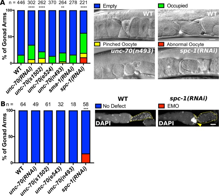 FIGURE 3: