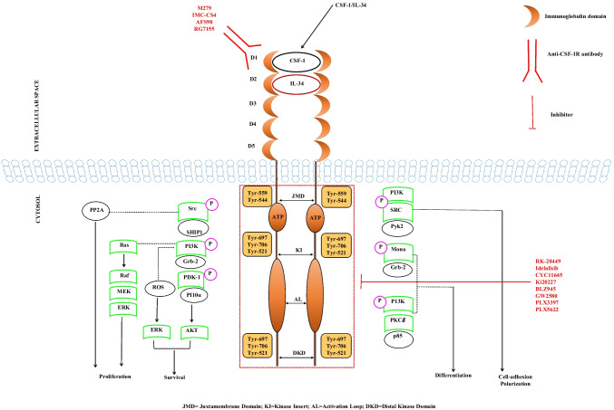 Fig. 4