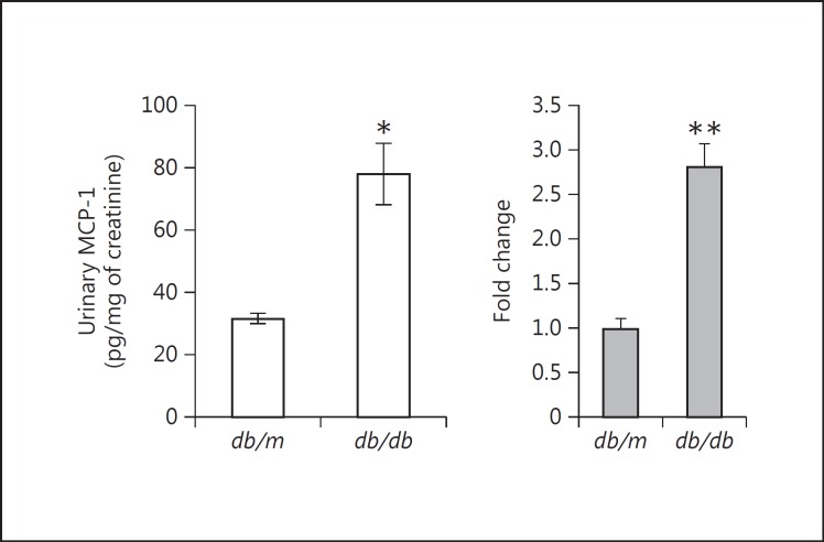 Fig. 11