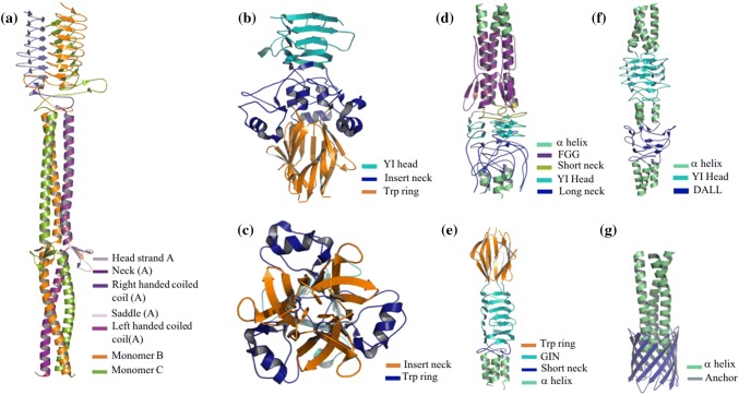 Fig. 2