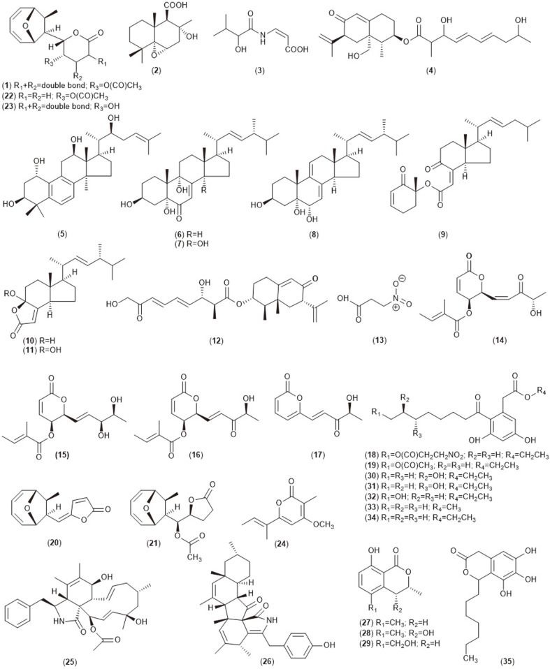 Fig. 1A