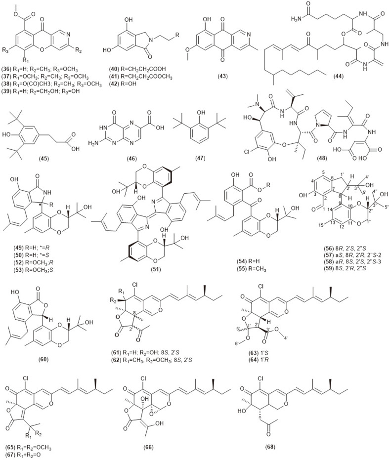 Fig. 1B