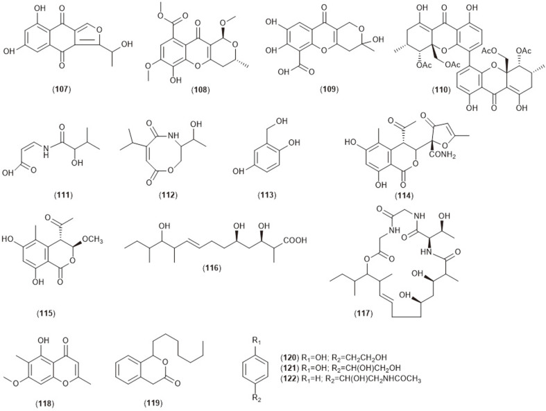 Fig. 1D