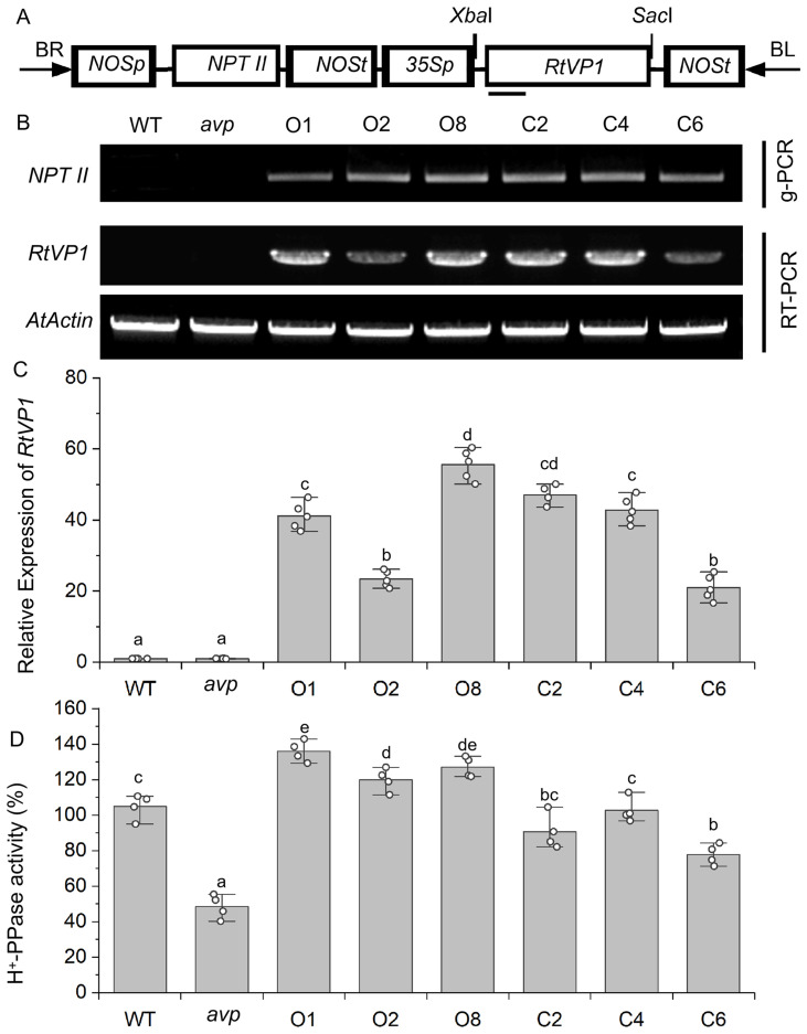 Figure 3