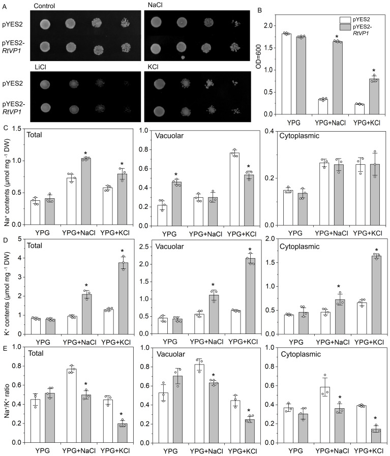 Figure 13