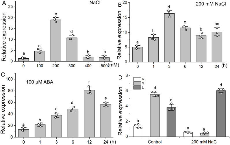 Figure 2