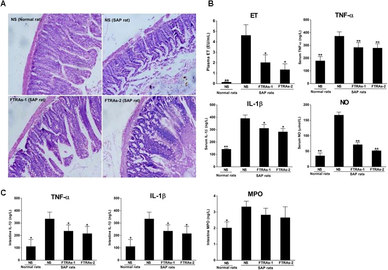 FIGURE 1