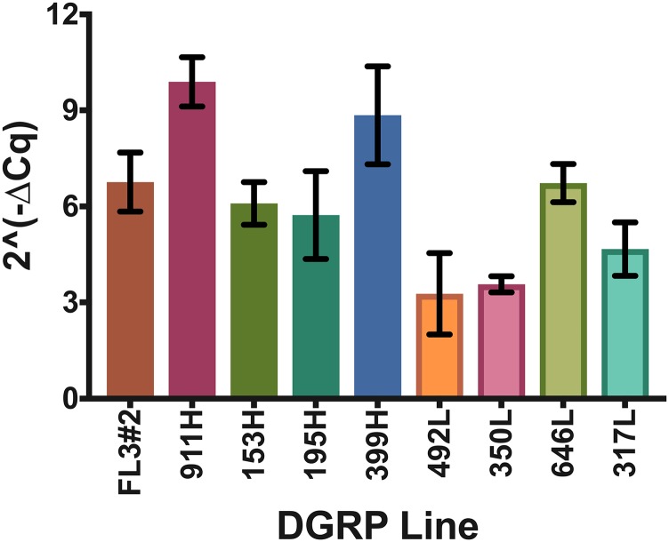 Figure 5