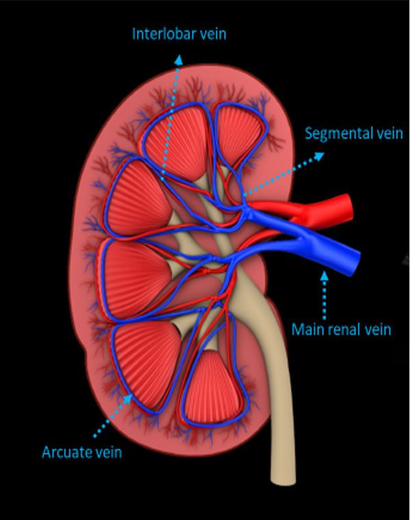 Fig. 26