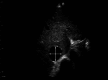 Fig. 6