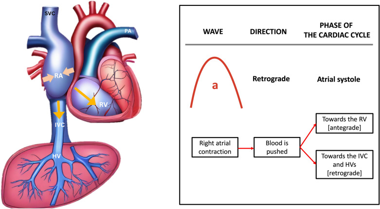 Fig. 13