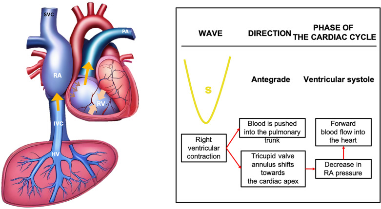 Fig. 14