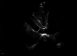Fig. 5