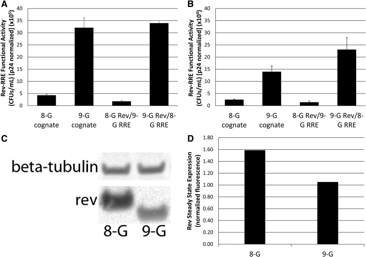 FIG. 7.