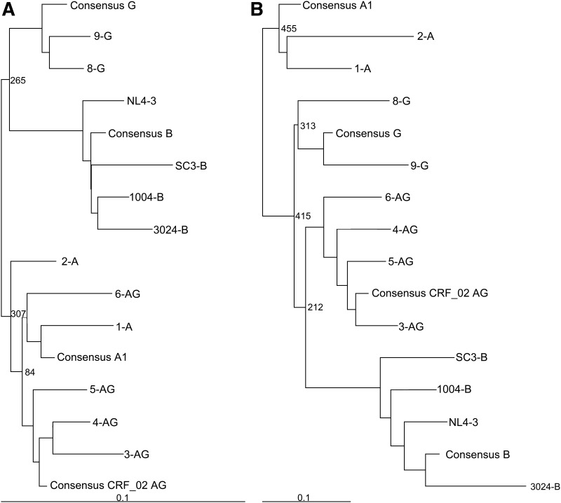 FIG. 1.