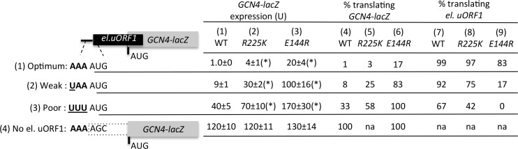 Figure 4—figure supplement 1.