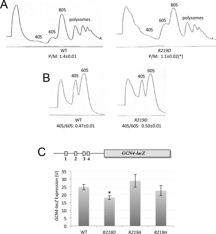 Figure 6—figure supplement 1.