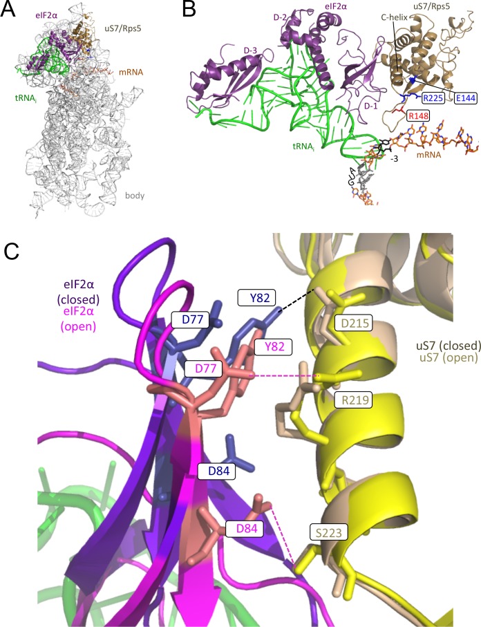 Figure 2.