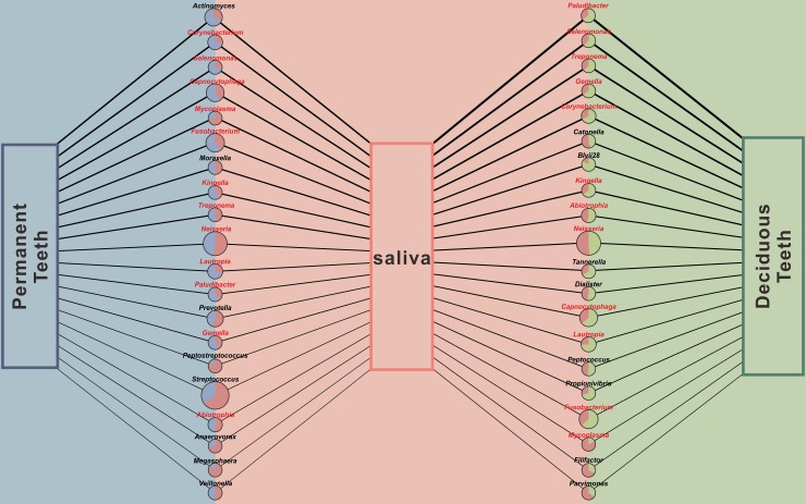 Fig 5