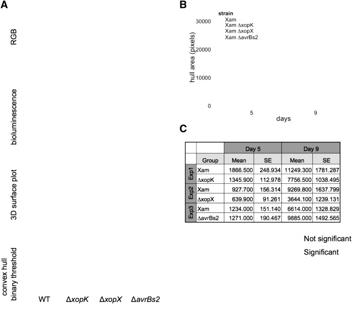 Figure 3.