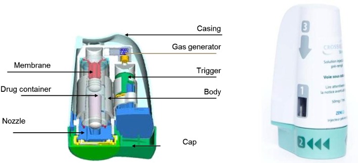 Fig. 1