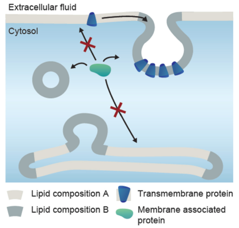 Figure 21.